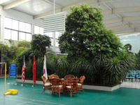 ̫�O�д���һ��