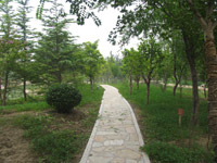 ̫�O�������^