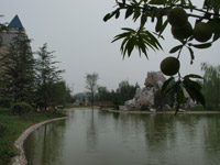 ̫�O������^