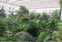 ����������B�@֦���~ï�ļ��紺