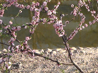 ̫�O�²����O�乫˾���쾰ɫ