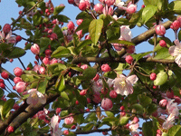 ̫�O��@��ɫ��̫�O�²����O(sh��)�乫˾