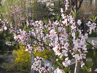 ̫�O��@��ɫ��̫�O�²����O(sh��)�乫˾