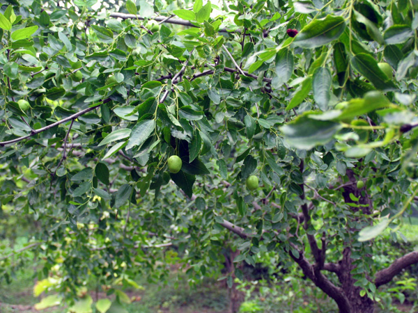 太極搪玻璃設備公司